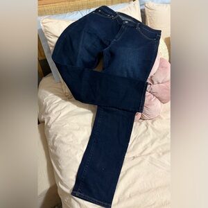 Women's GAP Dark Blue Authentic Straight Jeans